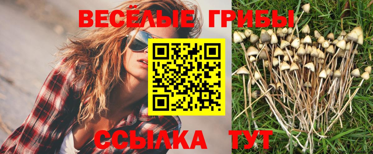 Псилоцибиновые грибы GOLDEN TEACHER Гуково